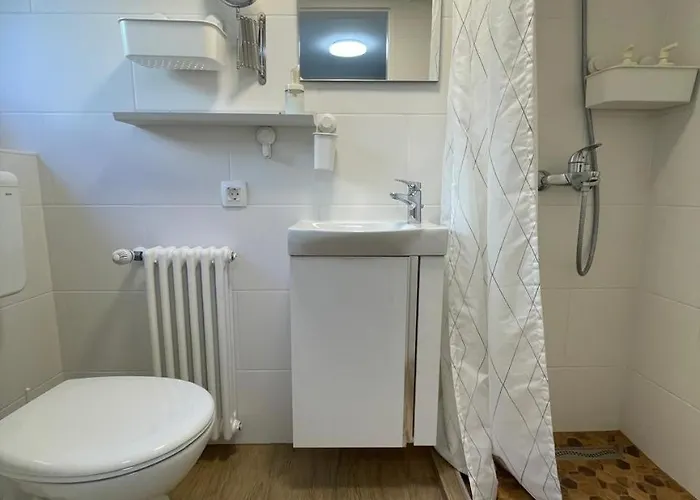 At The Burkulis' Ljubljana