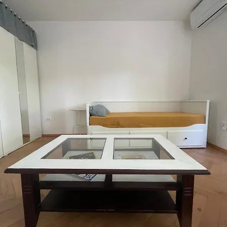 At The Burkulis' Ljubljana