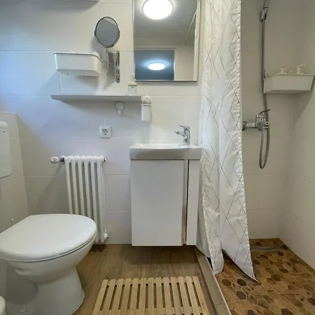 At The Burkulis' Ljubljana