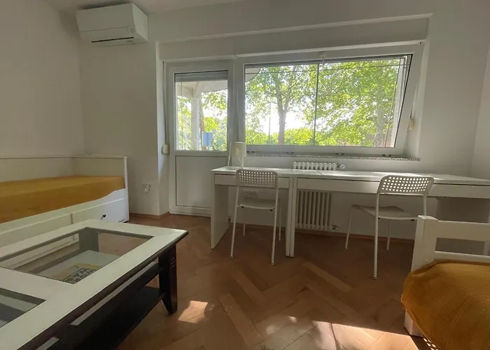 At The Burkulis' アパート リュブリャナ